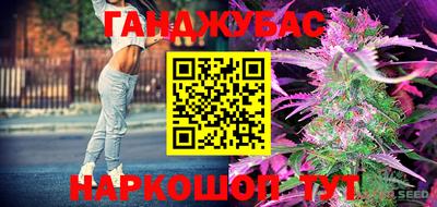 mdpv Краснознаменск