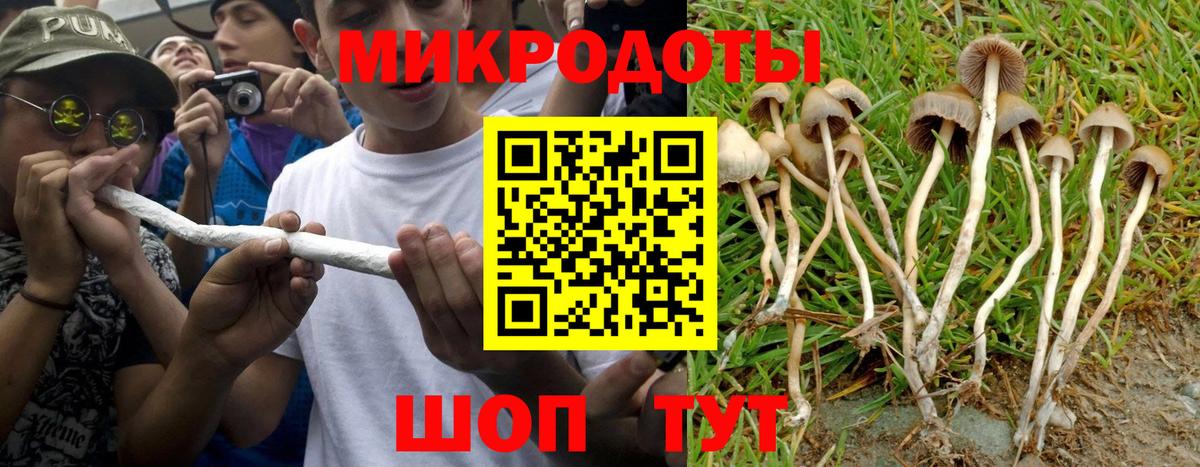 наркотики  Псилоцибиновые грибы Cubensis  Вход с VPN  Галлюциногенные грибы Magic Shrooms  Каспийск 